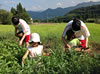 Nature Experience (Agricultural Experience)