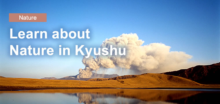 Learn about Nature in Kyushu