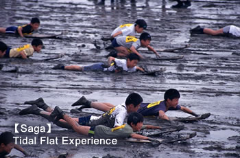 Saga Tidal Flat Experience