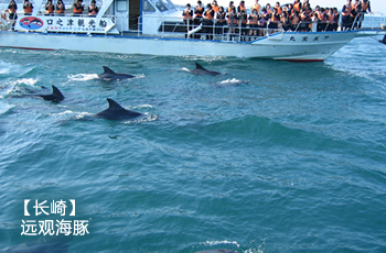 长崎 远观海豚